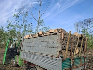 vând lemne de foc esență tare cer,fag,carpen,stejar cantitate garantata  transport gratuit  lemnele 