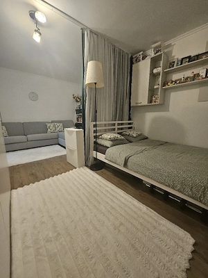 Apart 2 camere Parter Mobilat Proprietar Chisoda Central Parcare - imagine 4