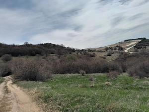 teren extravilan 10 000mp 