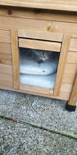 Cușcă din lemn pentru pisică - imagine 3