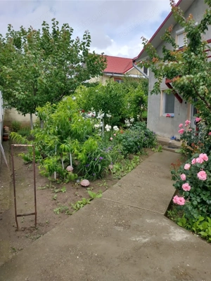 Vanzare casa P+M, Smardan( Galati ), la 2 minute de str.principala - imagine 2