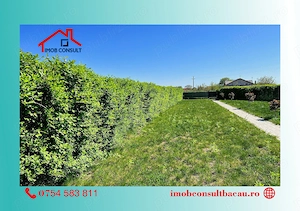 Teren pentru casă în Șerbănești! CE1600 - imagine 2