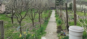  Casă Locuibilă Imediat 70 mp + 1640 mp, Utilități Complete   Racovițeni, Buzău