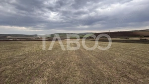 OPORTUNITATE INVESTITIE Teren de vanzare Sura Mare 24000 mp  - imagine 5