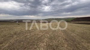 OPORTUNITATE INVESTITIE Teren de vanzare Sura Mare 24000 mp  - imagine 4