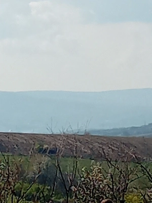 Teren extravilan. com Aroneanu, Rediualdei 7200mp , 3 euro mp