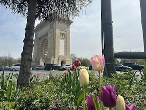 Apartament 2 camere Ion Mihalache-Domenii