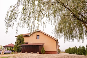 Vand casa 4 camere comuna Archis ID:RH-44676-property - imagine 9