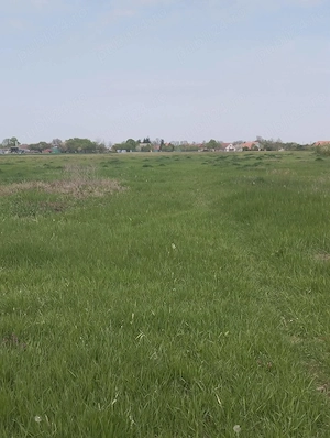 Vand urgent casa si gradina 