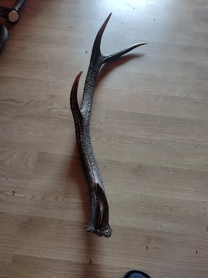 vand CORN 90 cm.4raze