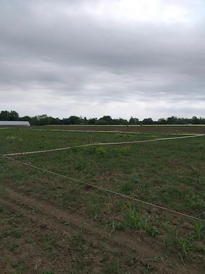 Teren intravilan 571 mp  - imagine 4