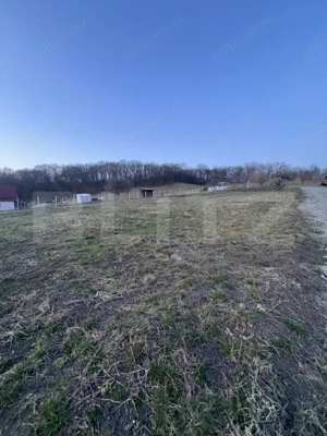 Parcele la padure in extensie intravilan , Drumul Tarpiului 