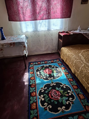 Vanzare teren si gospodarie in Prahova, Dumbrava, sat Ciupelnita, 40 min din Bucuresti pe A3 - imagine 6