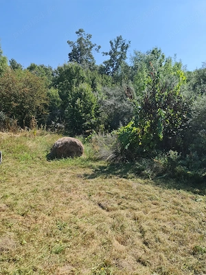 Doriti sa petreceti o zi pe malul lacului Pischia la un picnic si traseu de plimbare - imagine 3