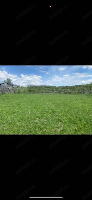 Vânzare teren 6000 mp Sălciua Nouă ( Cobălaș ) 