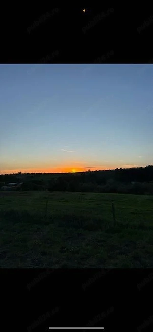 Vânzare teren 6000 mp Sălciua Nouă ( Cobălaș )  - imagine 3