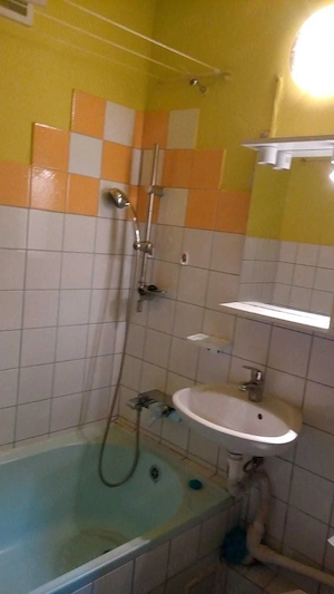 Calea Buziasului. O camera. Bloc izolat. Ideal pentru investitie. - imagine 6