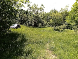 Teren com. Salatrucel, la 7 km de Calimanesti Caciulata - imagine 10