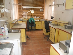 Cabinet stomatologic -Bdul Traian - imagine 2