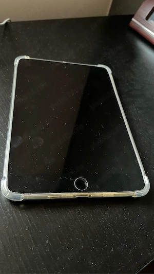 iPad mini 4 cell+wifi