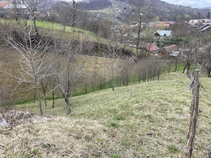 vand 2300m2 teren intravilant comuna secaria - imagine 3