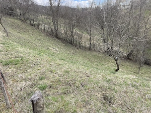 vand 2300m2 teren intravilant comuna secaria - imagine 5