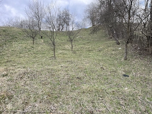 vand 2300m2 teren intravilant comuna secaria - imagine 2