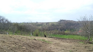 Teren intravilan in Radaseni 1587mp cu toate utilitatile - imagine 2