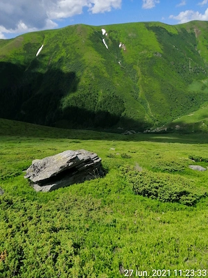Teren gol alpin pășune de 18.5 ha, muntele Stâna Mare, jud Gorj