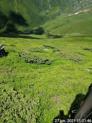 Teren gol alpin pășune de 18.5 ha, muntele Stâna Mare, jud Gorj - imagine 6