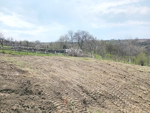 Teren intravilan in Radaseni 1587mp cu toate utilitatile - imagine 5