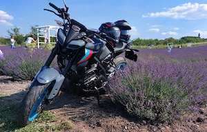   YAMAHA MT125 An 2023, 2629km   Traction Control, Lumini LED, Display TFT 5 Inch, Se conduce cu A1 - imagine 4