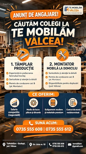 Angajez Tâmplar și Montator Mobilă 