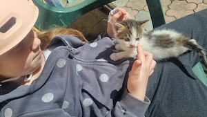 Donez 2 pisici si un motanel