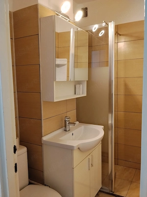 De închiriat apartament 1 cameră  - imagine 7