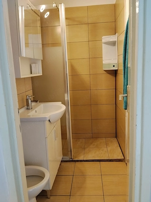 De închiriat apartament 1 cameră  - imagine 5