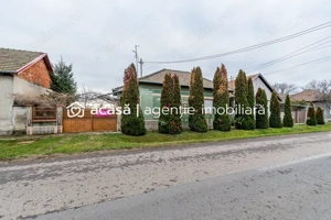 Casă + livadă tânără + curte 2.500 mp în Dorobanți