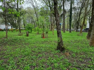 Apartament 2 camere decomandate - Parcul Cancicov - zonă verde