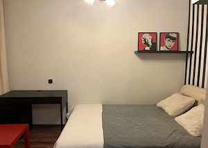 De inchiriat apartament cu o camera in zona Olimpia-Stadion - imagine 3