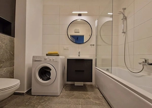 De inchiriat apartament cu o camera in zona Take Ionescu - imagine 3