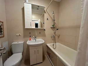 Apartament cu o camera de inchiriat in zona Circumvalatiuni - imagine 3