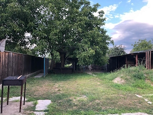 Casă de vânzare P+M TEREN 1200 mp Șimian  - imagine 3