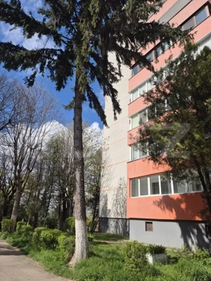 Apartament cu 3 camere, 60 mp, Dambu Pietros - imagine 9