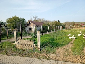 vind teren intravilan