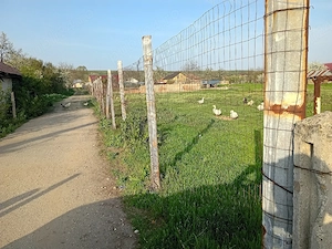 vind teren intravilan - imagine 2