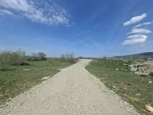 Teren extravilan de vanzare Talmaciu