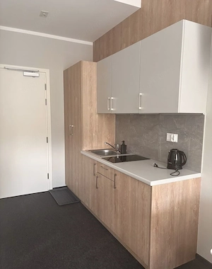 Garsoniera de inchiriat in zona Medicinei