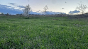 Vând teren extravilan (2026 intravilan)  2500 mp parcelabil zona hlincea lunca cetatuii