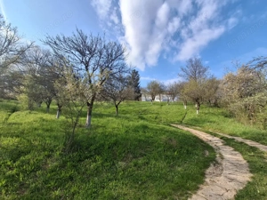 Moșia boierească din vârf de deal, Scorțeni - Prahova, comision 0%