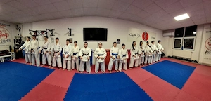 Karate- grupe  pentru copii si adulti